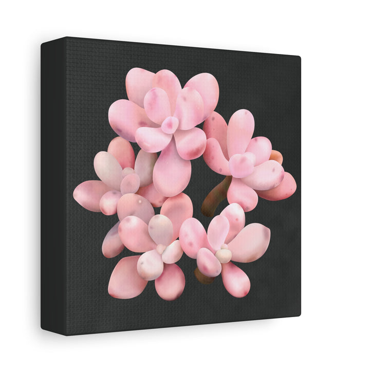 Pink Moonstone Canvas Print – Botanical Wall Art