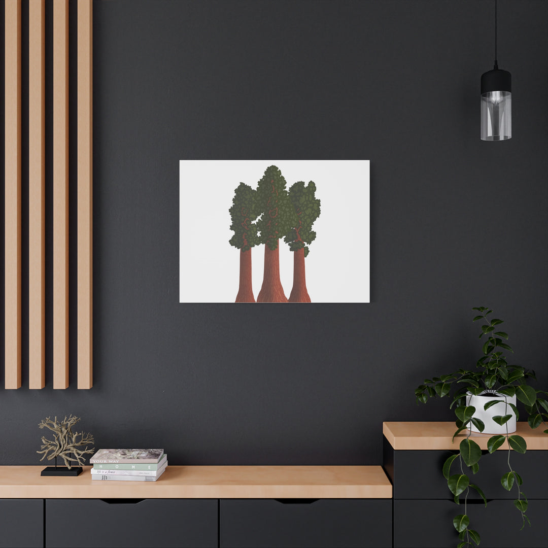 Giant Sequoias Canvas Print – Wall Art