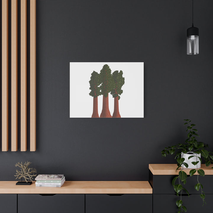 Giant Sequoias Canvas Print – Wall Art