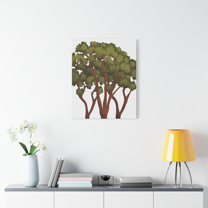 Pacific Madrone Canvas Print – Wall Art