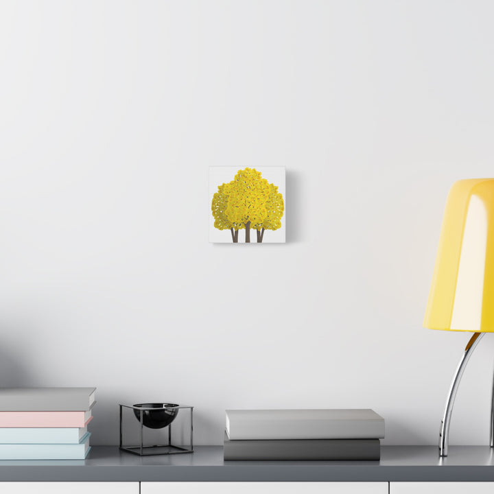 Big Leaf Maple Canvas Print – Wall Art