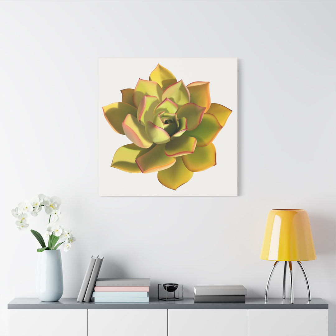 Noble Aeonium Succulent Canvas Wall Art Print for Modern Home Decor by The Potted Pixel