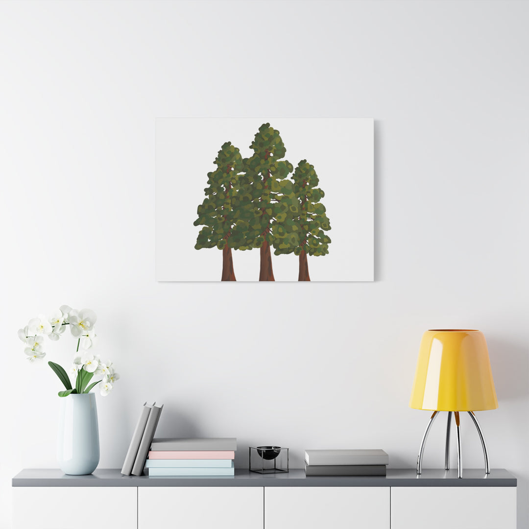 Coastal Redwoods Matte Canvas Print On 1.25 Inch Stretched Canvas For Serene Forest Wall Art In Living Rooms