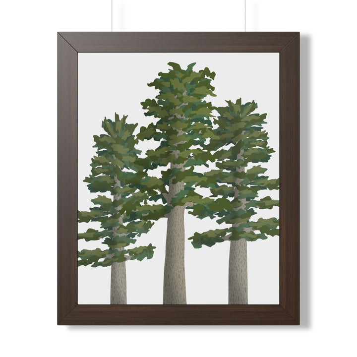 Sitka Spruce Framed Print – Wall Art