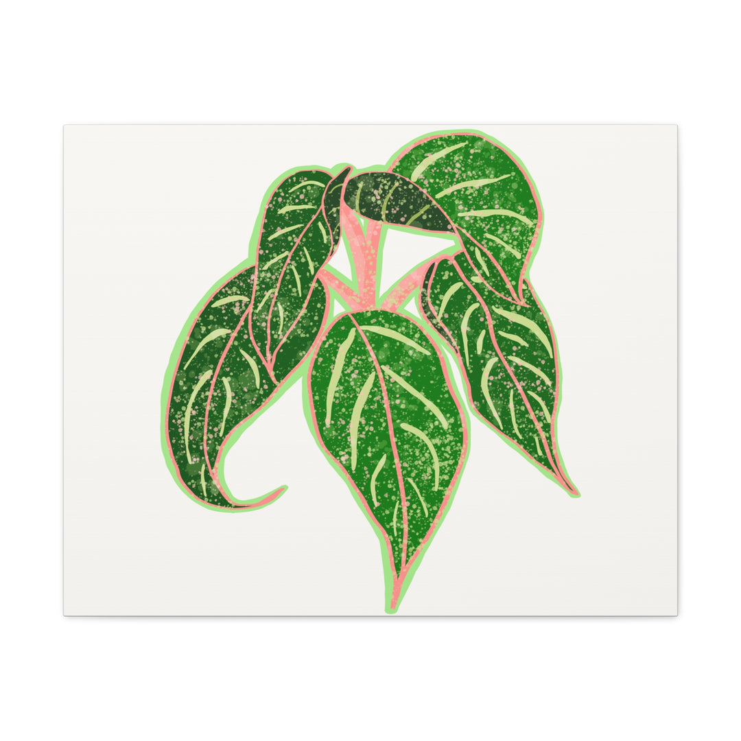 Aglaonema Sparkling Sarah Botanical Canvas Print On Matte Stretch Canvas For Modern Living Room Decor