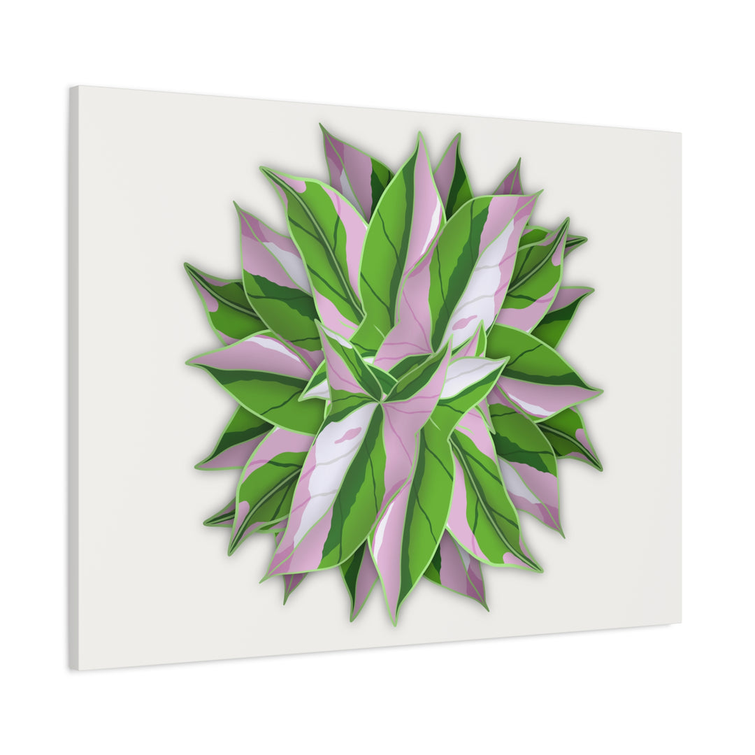 Syngonium Tricolor Canvas Print – Botanical Wall Art - The Potted Pixel