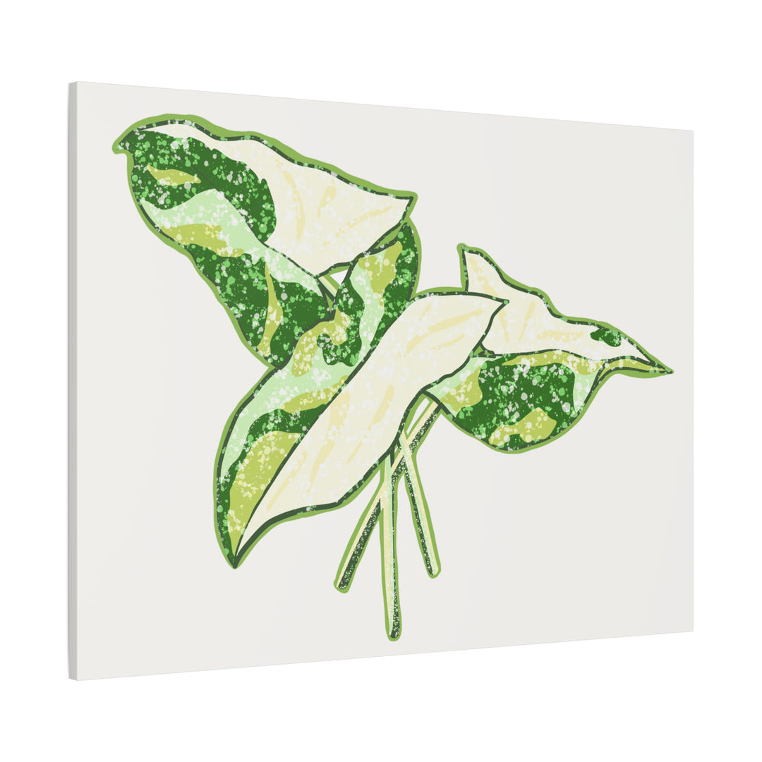 Marble Syngonium Canvas Botanical Wall Art Stretched Print On Durable Cotton Canvas Matte Finish