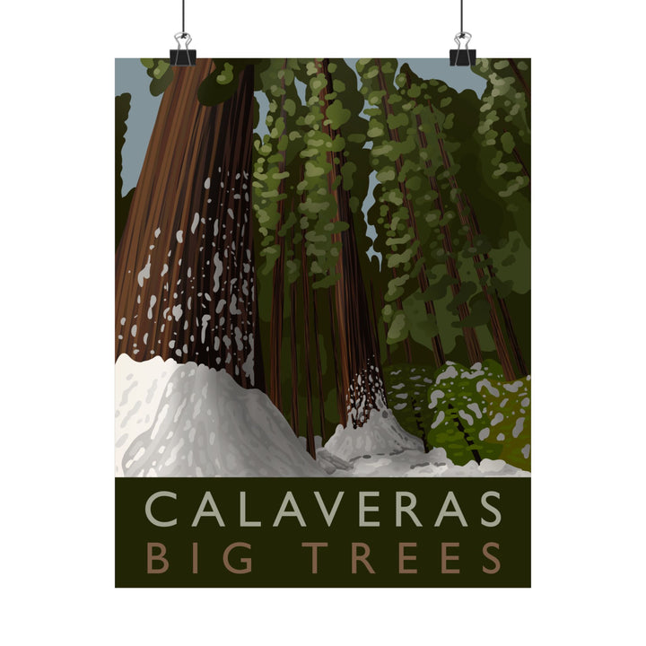 Calaveras Big Trees Print – Unframed Wall Art