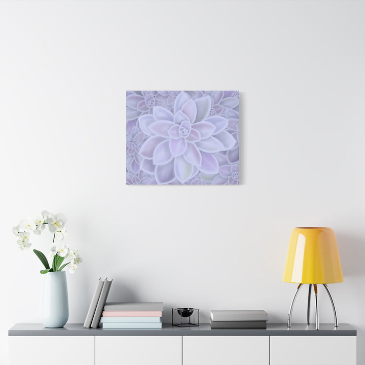 Graptopetalum Murasaki Succulent Canvas Art Print Pastel Purple Rosette Indoor Plant Decor