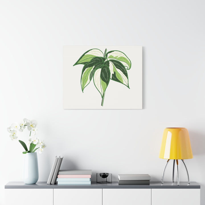 Philodendron Canvas Print Cream Splash Variegated Plant Art On Matte Cotton Canvas For Home Wall Decor