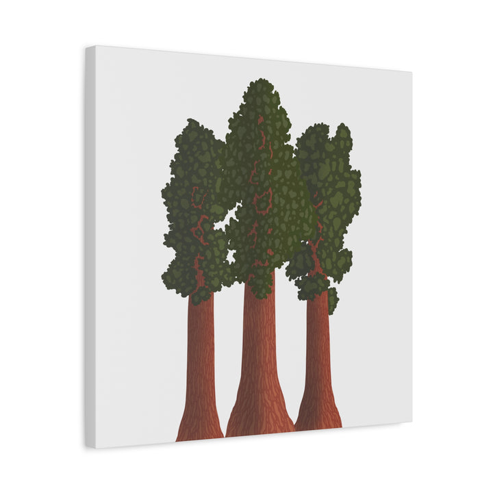 Giant Sequoias Canvas Print – Wall Art