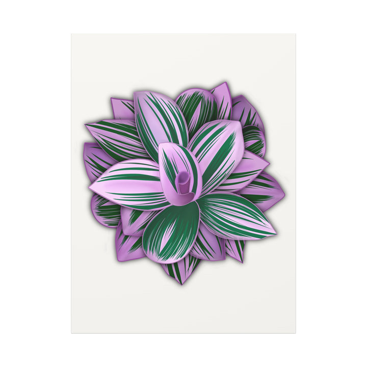 Tradescantia Nanouk Canvas Botanical Wall Art Print Pink Green Foliage On Stretched Cotton Canvas