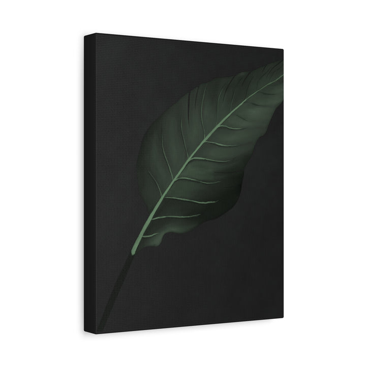 Bird of Paradise Canvas Print – Botanical Wall Art