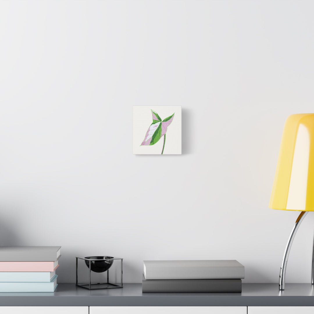 Syngonium Tricolor Canvas Print – Botanical Wall Art - The Potted Pixel