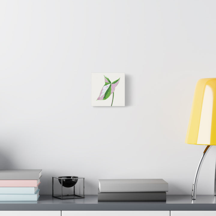 Syngonium Tricolor Canvas Print – Botanical Wall Art - The Potted Pixel