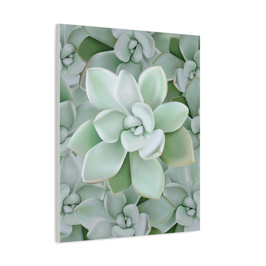 Pachyveria Haagei Succulent Pattern Canvas Art for Modern Home Decor 16x20 Matte Print