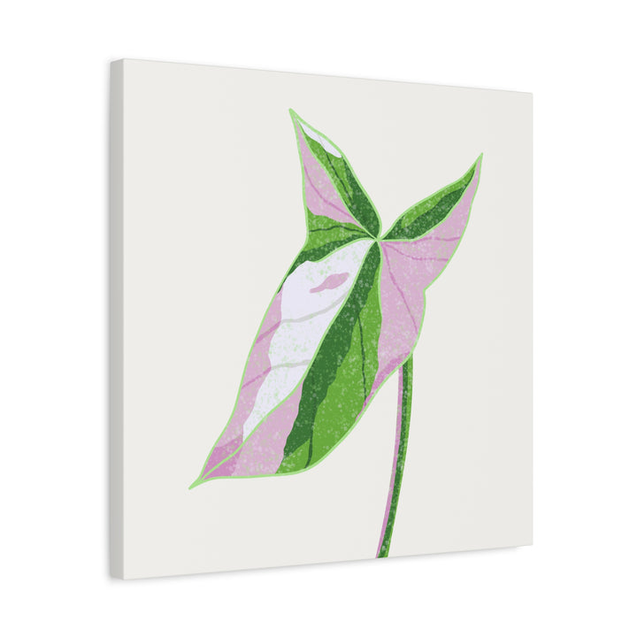 Syngonium Tricolor Canvas Print – Botanical Wall Art - The Potted Pixel