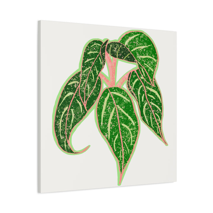 Aglaonema Sparkling Sarah Botanical Canvas Print On Matte Stretch Canvas For Modern Living Room Decor