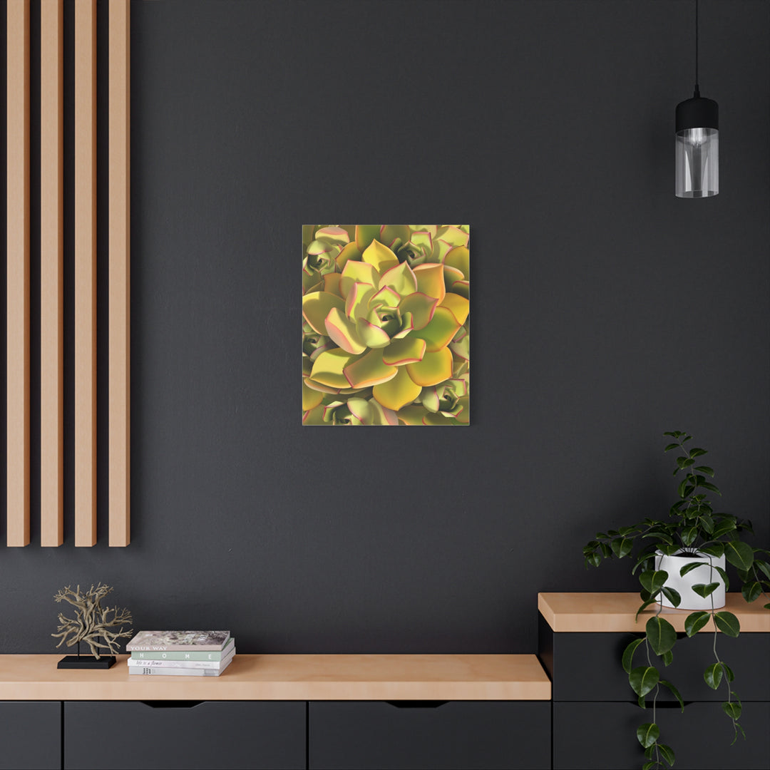 Succulent Canvas Art Vibrant Aeonium Print On Matte Canvas Wall Decor 12x18 Inches Indoor Home