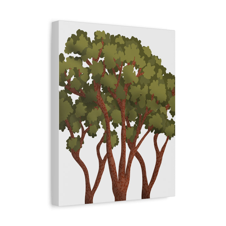 Pacific Madrone Canvas Print – Wall Art