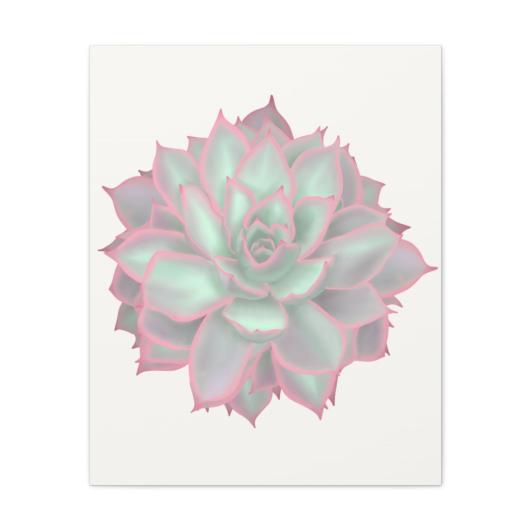 Echeveria Violet Queen Canvas Wall Art Rosette Succulent Print With Matte Finish