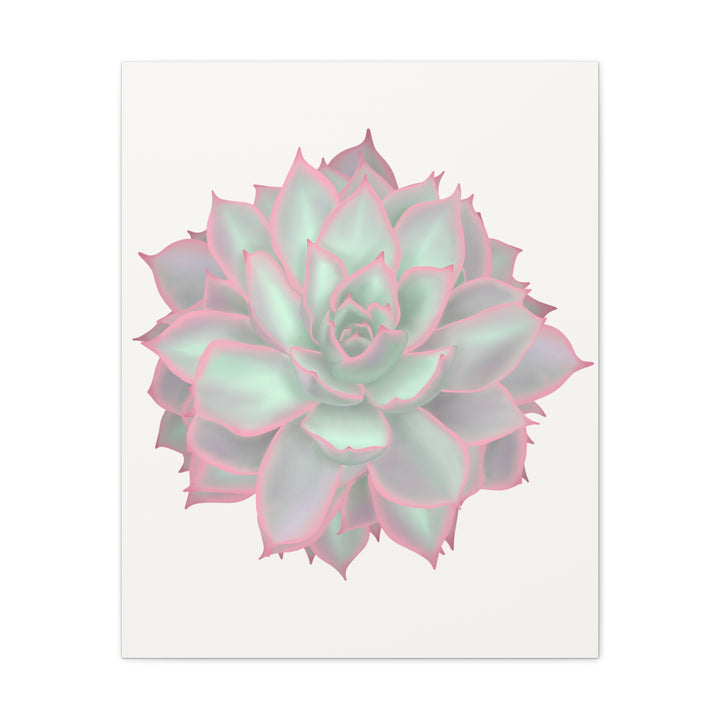 Echeveria Violet Queen Canvas Wall Art Rosette Succulent Print With Matte Finish