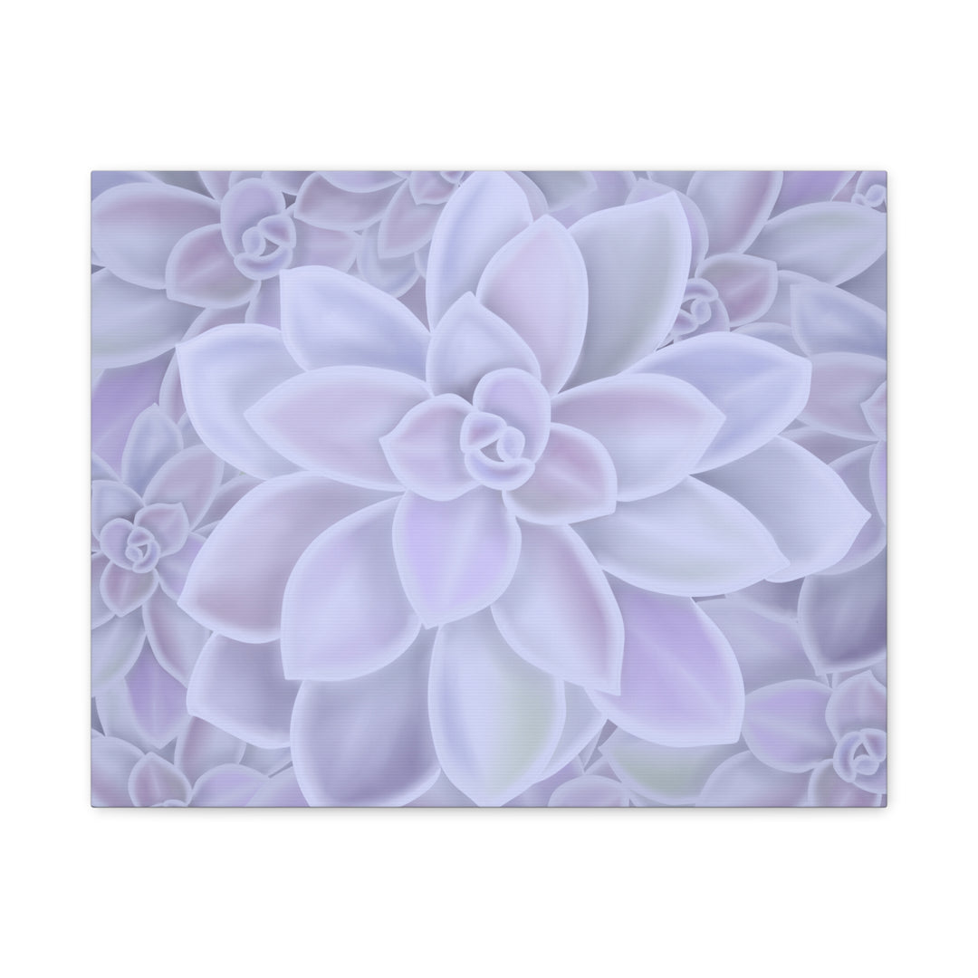 Graptopetalum Murasaki Succulent Canvas Art Print Pastel Purple Rosette Indoor Plant Decor