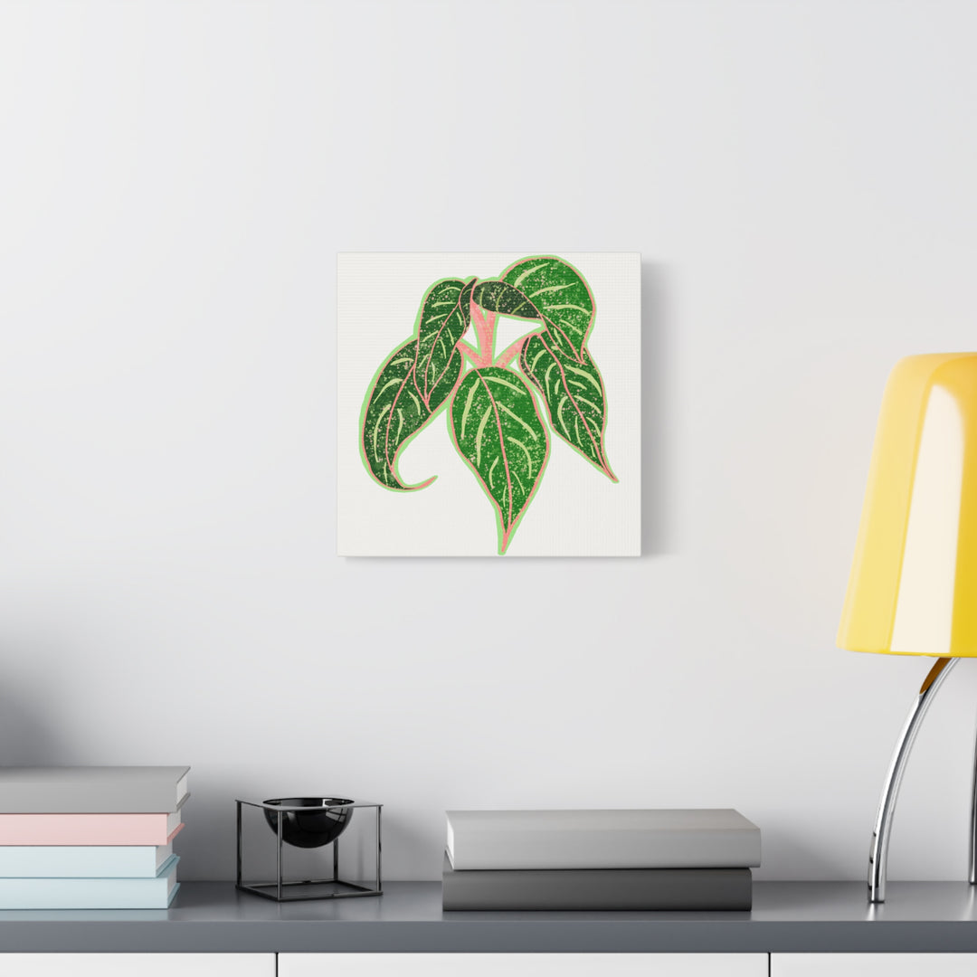 Aglaonema Sparkling Sarah Botanical Canvas Print On Matte Stretch Canvas For Modern Living Room Decor