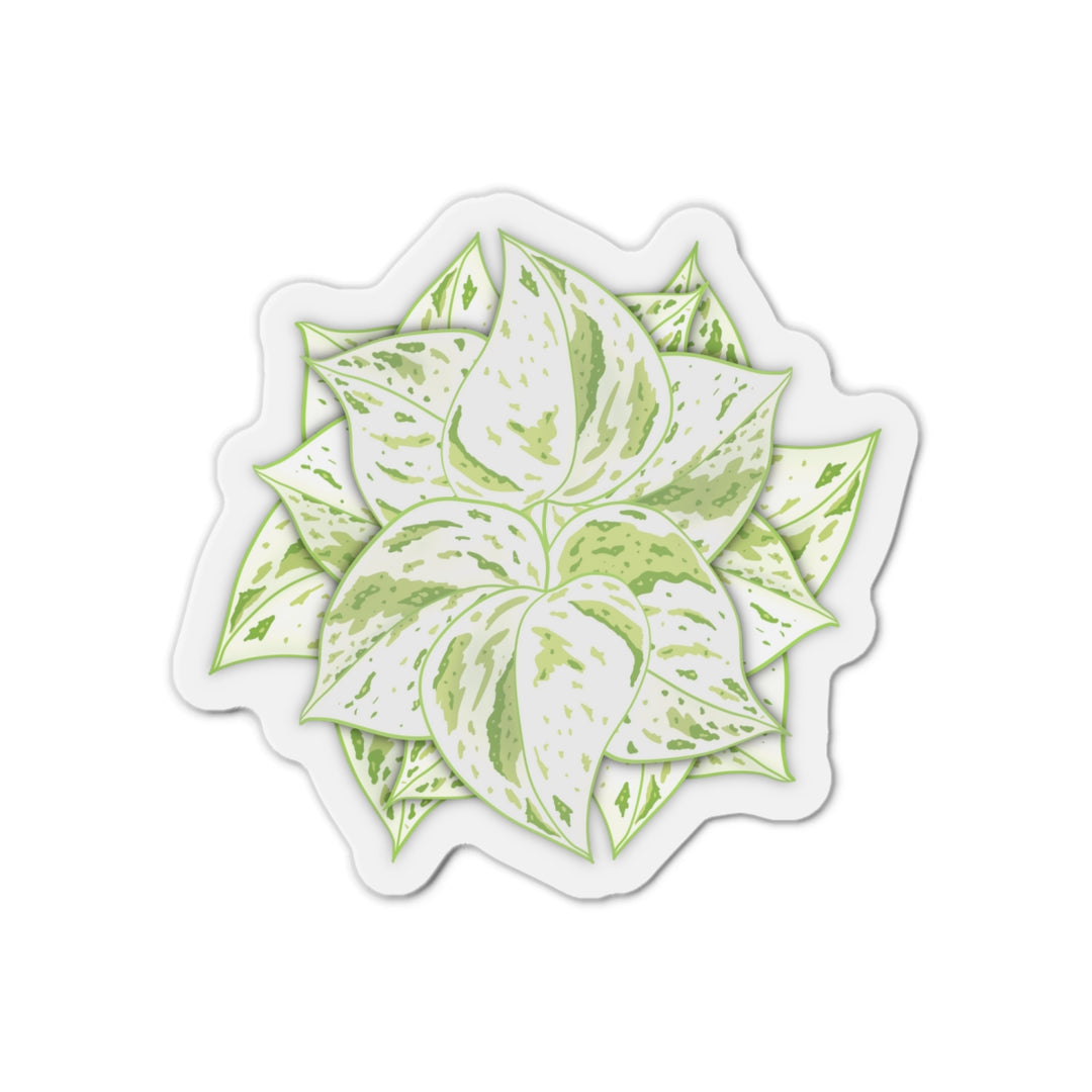 Snow Queen Pothos Magnet