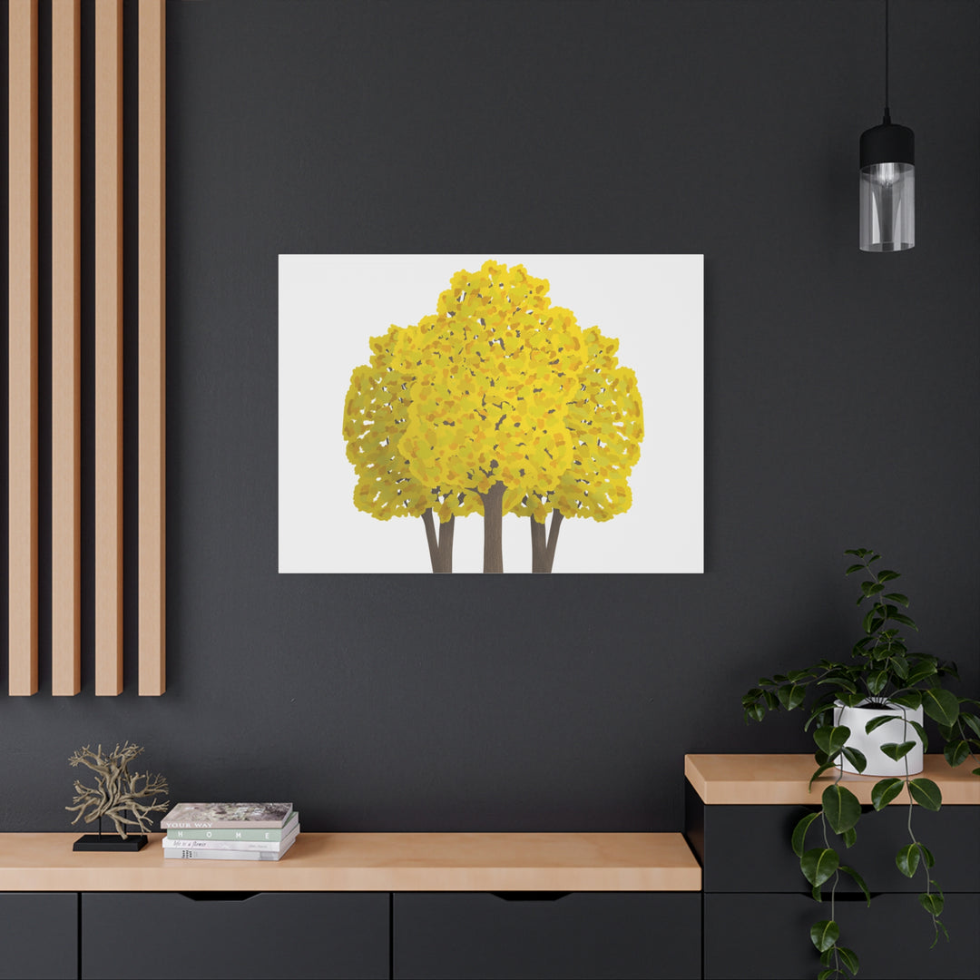 Big Leaf Maple Canvas Print – Wall Art