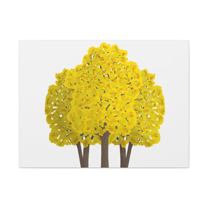 Big Leaf Maple Canvas Print – Wall Art