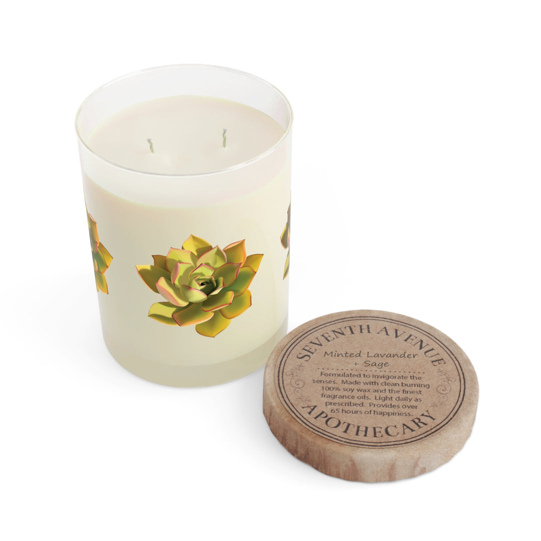 Noble Aeonium Succulent Scented Candle 11oz Three Scent Options White Tea Fig Minted Lavender Sage Ocean Mist Moss