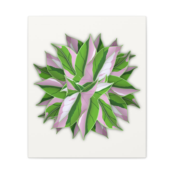 Syngonium Tricolor Canvas Print – Botanical Wall Art - The Potted Pixel