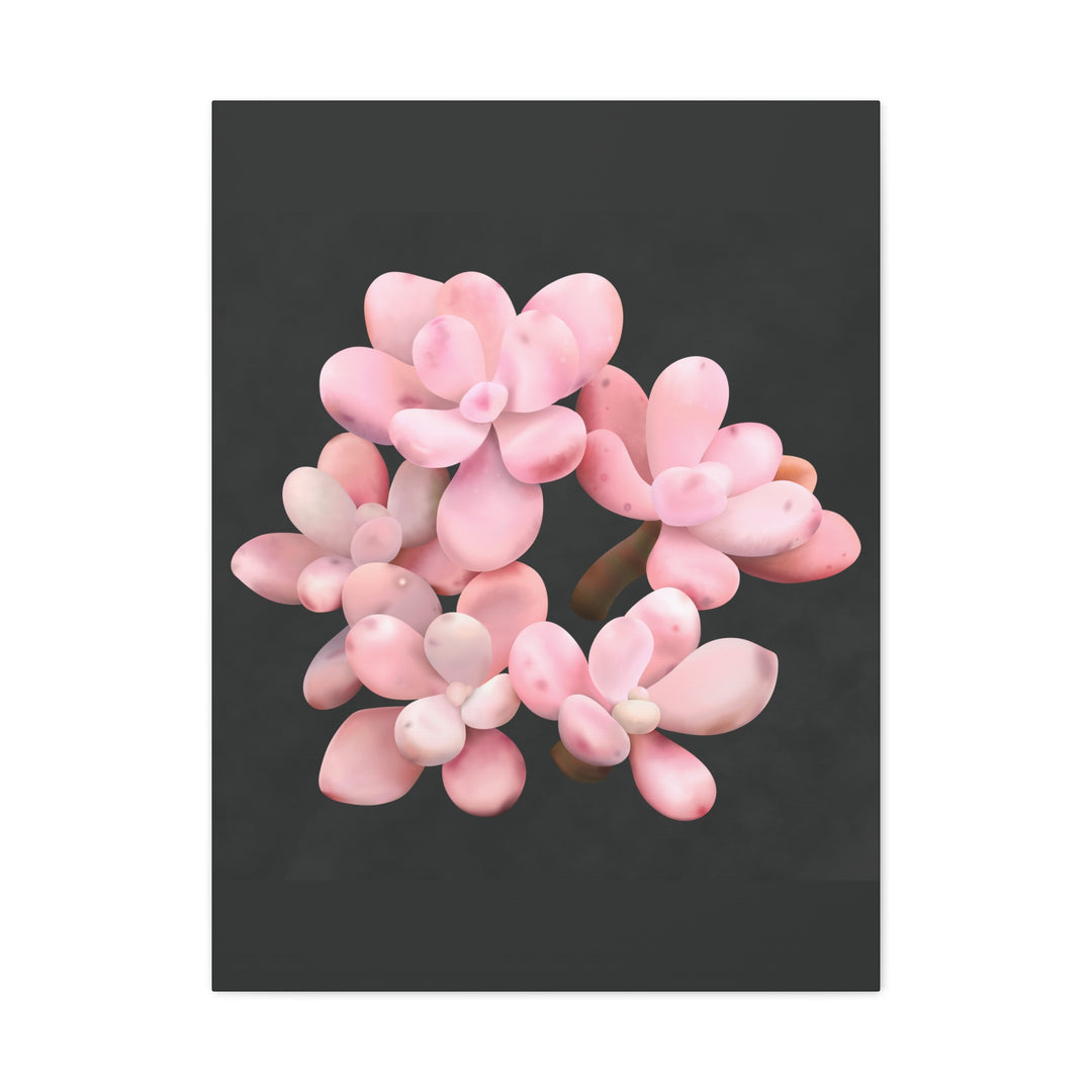 Pink Moonstone Canvas Print – Botanical Wall Art