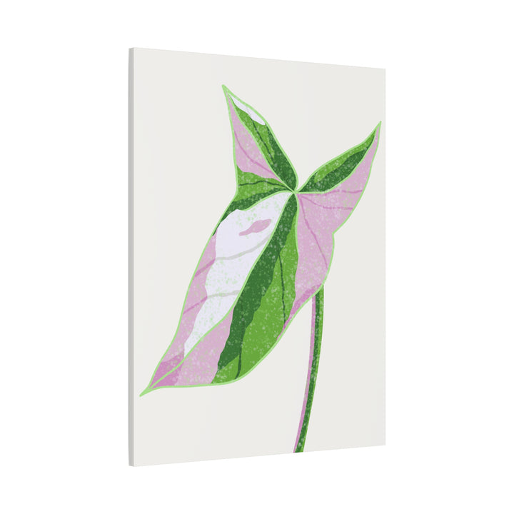 Syngonium Tricolor Canvas Print – Botanical Wall Art - The Potted Pixel
