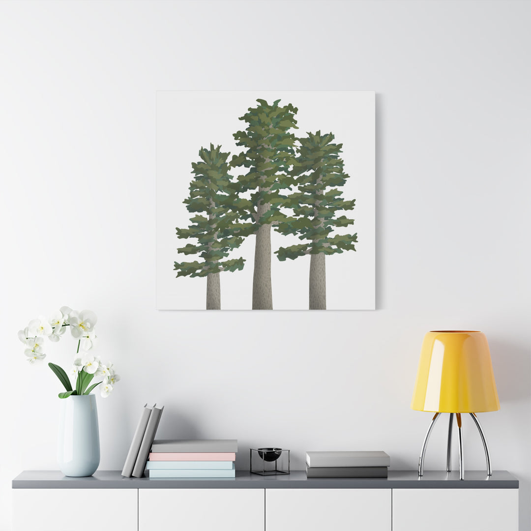 Sitka Spruce Canvas Print – Wall Art