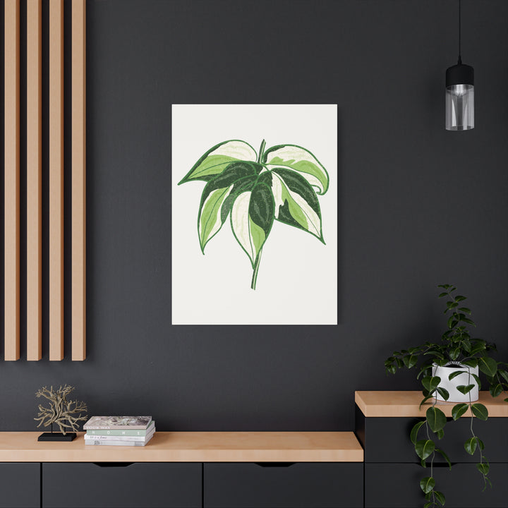 Philodendron Canvas Print Cream Splash Variegated Plant Art On Matte Cotton Canvas For Home Wall Decor