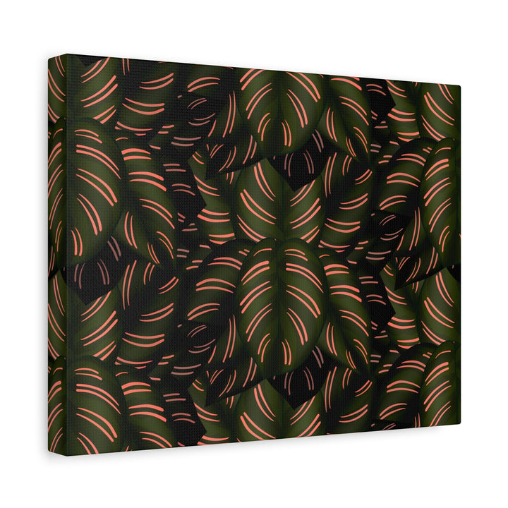 Calathea Pinstripe Canvas Print With Matte Finish Stretched Botanical Wall Art For Living Room Decor