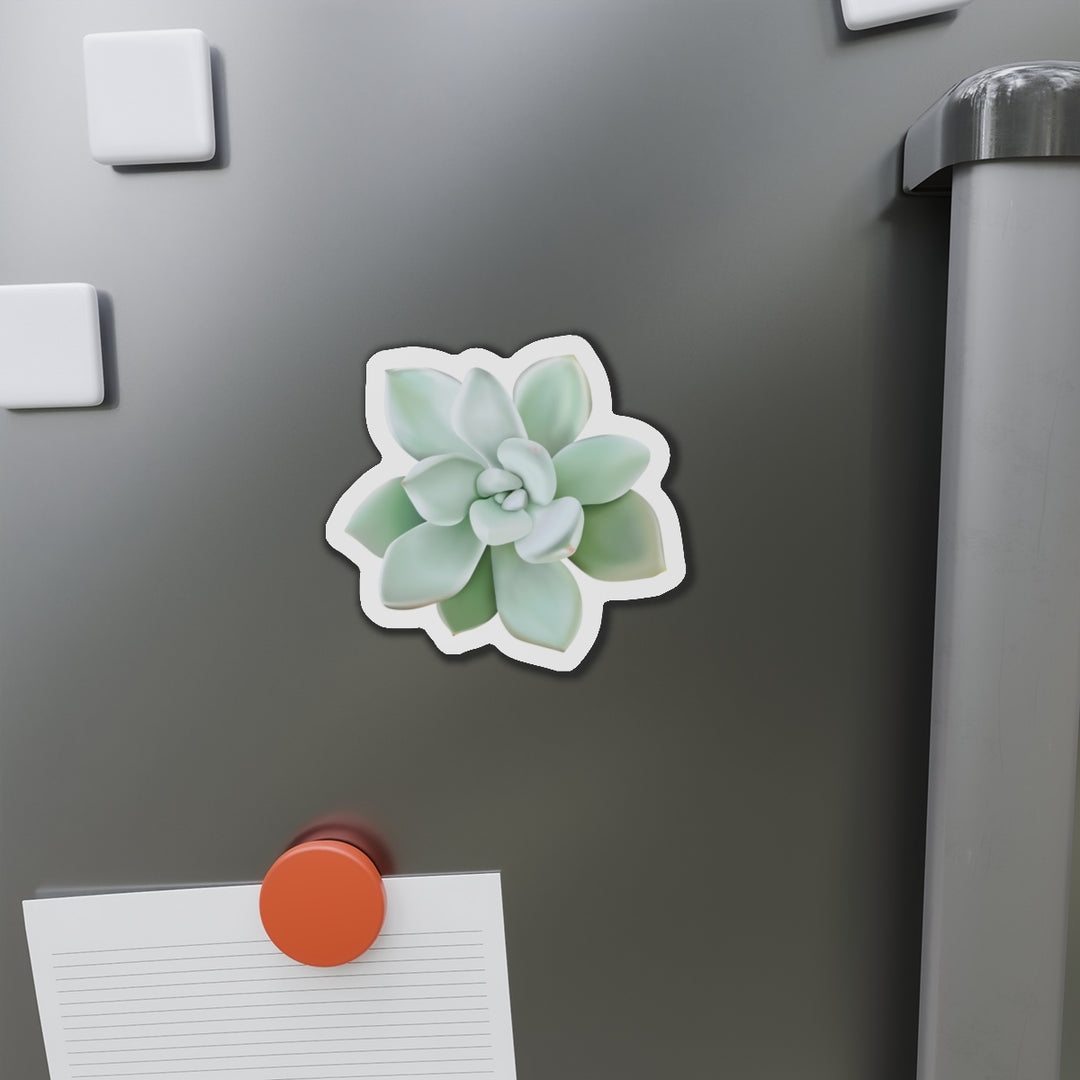Pachyveria Haagei Succulent Magnet