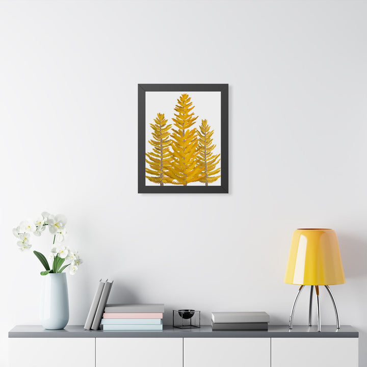 Western Larch Framed Print – Wall Art