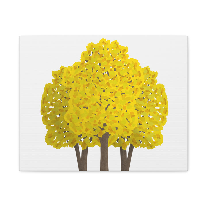 Big Leaf Maple Canvas Print – Wall Art