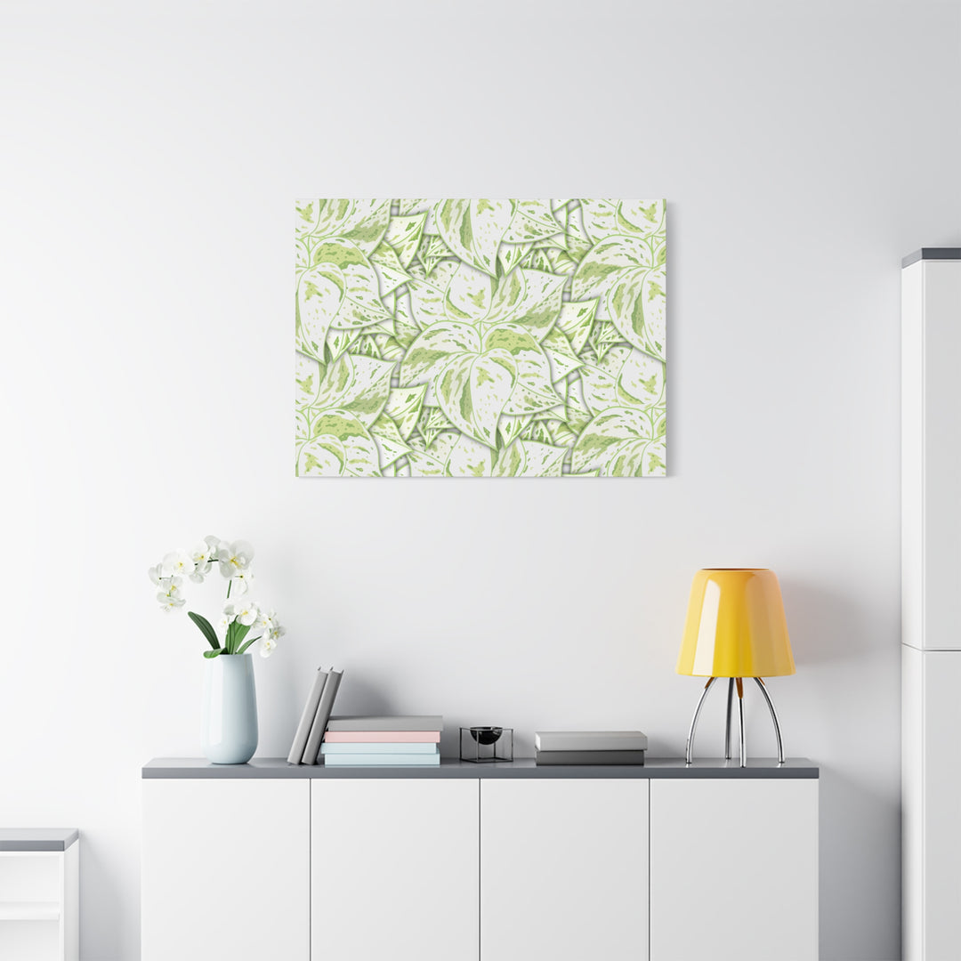 Snow Queen Pothos Canvas Print With Variegated White Leaves In Matte Finish For Modern Home Decor