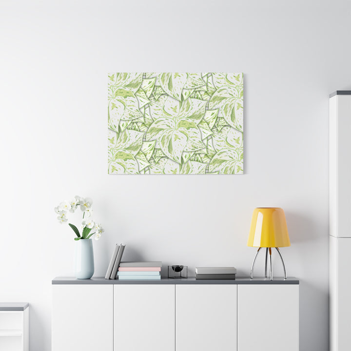 Snow Queen Pothos Canvas Print With Variegated White Leaves In Matte Finish For Modern Home Decor