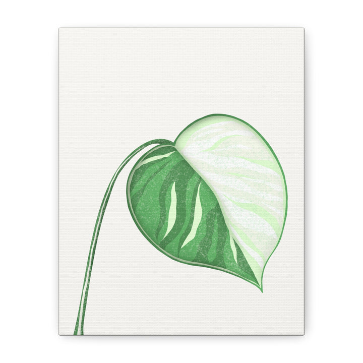 Monstera Albo Canvas Large Stretched Premium Quality Cotton Canvas Wall Art Tropical Leaf Poster Decor