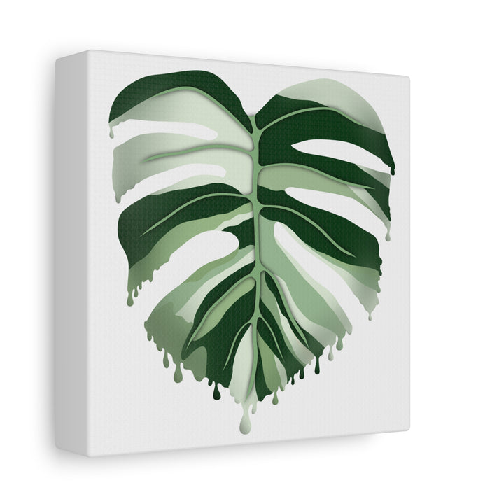 Melting Monstera Albo Canvas Large Indoor Wall Art Print Matte Finish Tropical Home Decor