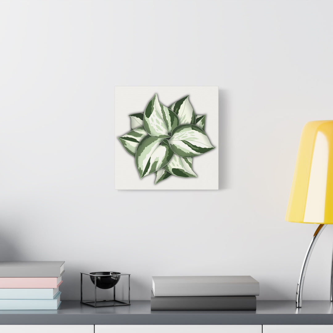Manjula Pothos Canvas Print Stretched Matte Canvas Wall Art For Living Room And Office