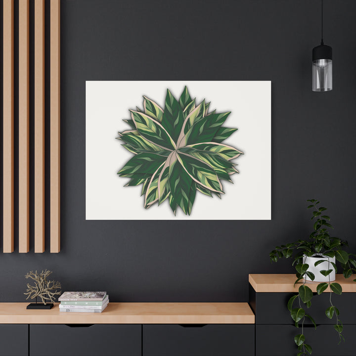 Stromanthe Triostar Canvas Wall Art Premium Matte Finish On Durable 1.25 Inch Frame For Vibrant Indoor Tropical Decor