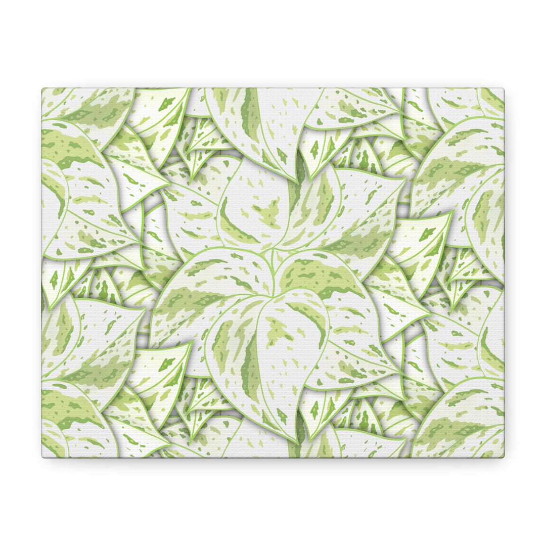 Snow Queen Pothos Canvas Print With Variegated White Leaves In Matte Finish For Modern Home Decor
