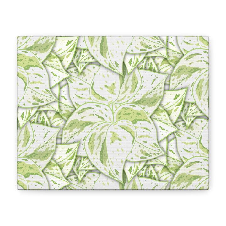 Snow Queen Pothos Canvas Print With Variegated White Leaves In Matte Finish For Modern Home Decor