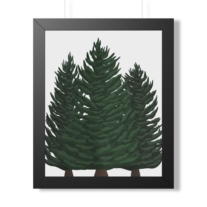 Douglas Fir Framed Print – Wall Art